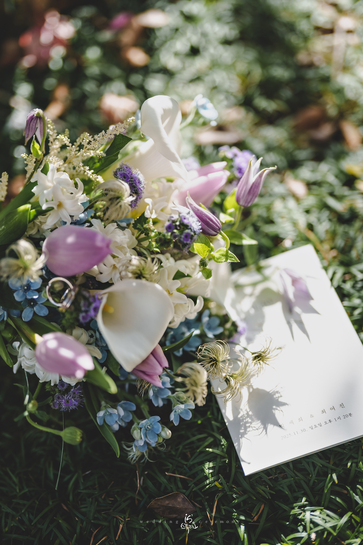 진주 MBC컨벤션 본식 웨딩스냅 리뷰 — iS 스튜디오 시선으로 본 감성 결혼식 (1/3)